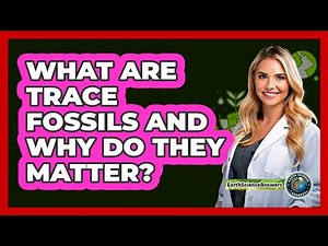 What Are Trace Fossils And Why Do They Matter? - Earth Science Answers