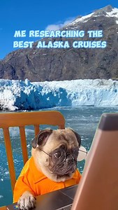 4.8K views · 39 reactions | There is no better time than the present to start planning the ultimate Alaska cruise. If you are looking to book that bucket list cruise, we have put together our list of the Best Alaska Cruises to help you narrow down the options. Link in bio is your ultimate Alaska resource! #alaska #alaskacruise #cruise | Eat Sleep Cruise | Facebook