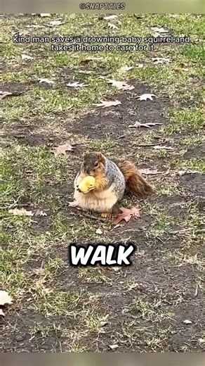 Man Saved Squirrel😍#facts #dailyfacts #short #usa #factsonly #DidYouKnow | Hidden Facts