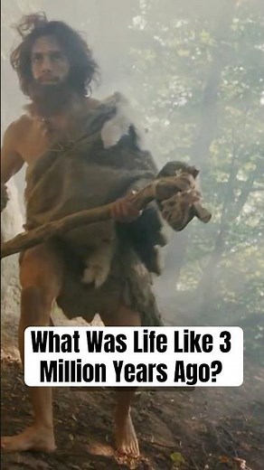 What Was Life Like 3 Million Years Ago?