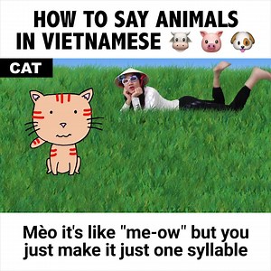 5.2M views · 18K reactions | Now you know half the things on the Vietnamese menu. | Vietglish Fun | Facebook