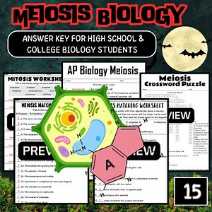 Meiosis Worksheet Answer Key for High School & College Biology Students