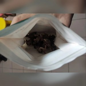 东西质量非常好，与卖家描述的完全一致，非常满意，真的很喜欢，完全超出期望值，发货速度非常快