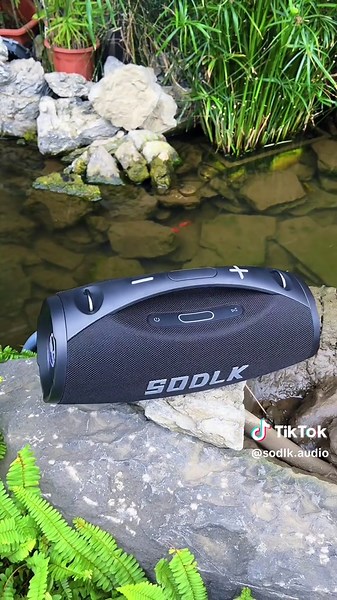 Karaoke Bluetooth Speaker SODLK S1615 - New 2025 Model