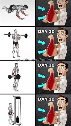 Forearms Workout #forearmworkout #forearmtraining #gripstrength #wristworkout #forearmpump #armday