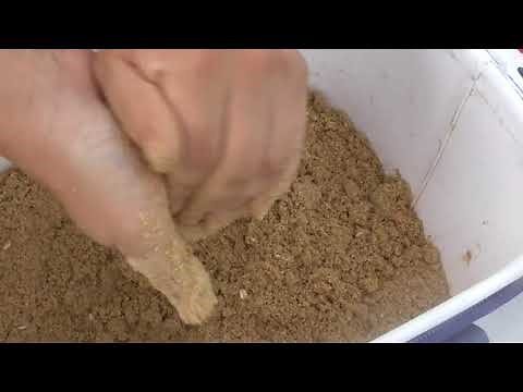 夏場のエサ取りに強い、紀州釣りの エサの作り方の紹介＆ヒットシーンまで。素手で混ぜながら作ります。団子の硬さが重要で硬すぎず柔らかすぎに。底についてから割れるようにしましょう。