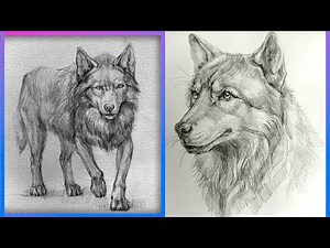 How to Draw a Realistic Wolf Face 🐺 | Step-by-Step Pencil Drawing for Beginners#drawing