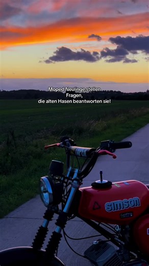 Moped Newbies Questions Answered by Experienced Riders