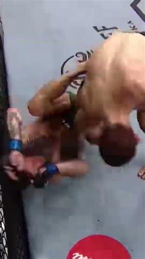 habib. vs. caner #ufc