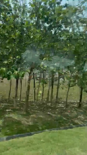 Aisha Ali Faulkner on Reels