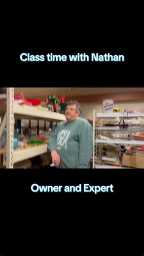 Nathan Michalski on Instagram: "Nathan is our resident expert on all things. How does he know all things? We still don’t know where he keeps all his knowledge! Bid on these lots and many more at www.wibidauctions.com Bidding ends 1/18 WiBid Auctions, LLC (262)237-8222 Auction Company License 1024-53 Nathan Michalski Jami Michalski Auctioneer License 4071-52 #wibidauctions #localauction #racinecounty #antique #smartguy"