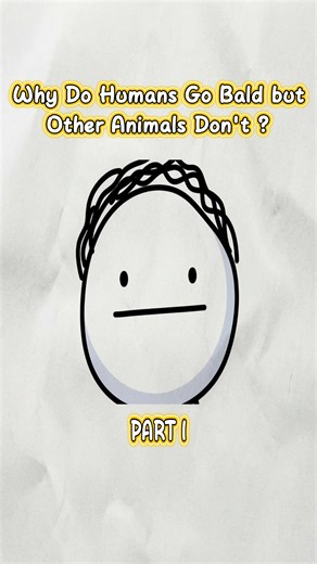 Why Humans Lost Body Hair but Kept Head Hair