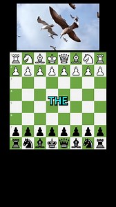 984K views · 21K reactions | 7 Moves Checkmate | The Bird Opening Trick To Win FAST!♟ #chess #chessgame #chessboard #reelsfb #shorts #viral #trending | Daily Dose Of Chess | Facebook