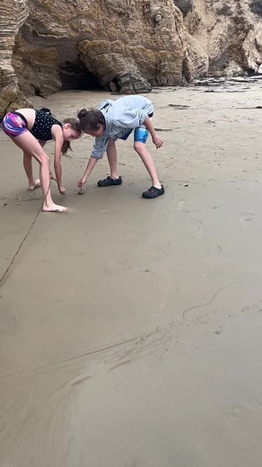 7.8K views · 44 reactions | Exploring tide pools at Crystal Cove state park. | Sariah Arvizu | Facebook