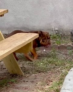 The Kris Kelly Foundation on Reels