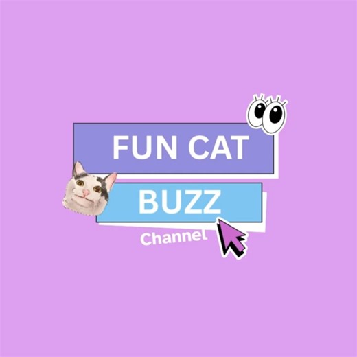 Funny Cat Moments You Won't Want to Miss