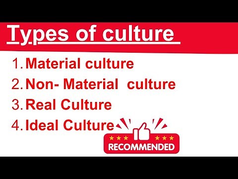 types of culture in sociology|culture kinds