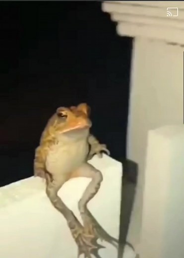 Naruto's Toad Sage Mode #foryoupage #foryou #foryourpage #narutoshippuden #naruto #narutomeme #narutouzumaki