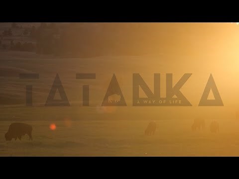 Tatanka: A Way of Life | SDPB Documentary