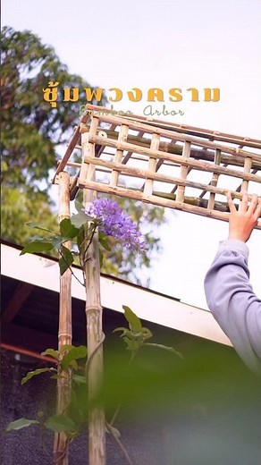 Making an indigo arch. I've been growing it for a year and just got around to doing it. 🌼 #home #...