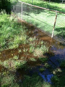 Cincinnati drainage specialists!