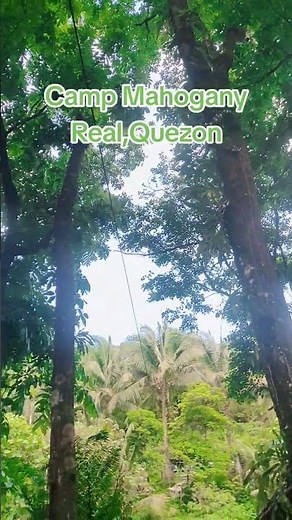 Camp Mahogany | Real Quezon #fypシ #viral #mahogany #realquezon #subscribe