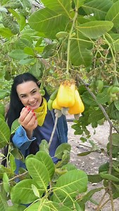 1.2M views · 23K reactions | Aceita um docinho?  #doce #domingo #delícia #caseiro #farm #matogrosso #fazenda #woman | Joene Justina | Facebook