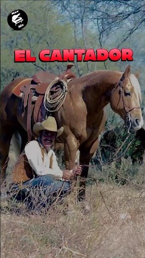 Vicente Fernández - El cantador 🐎 #corridos #caballos #rancheras #nostalgia #mexico #rolitas