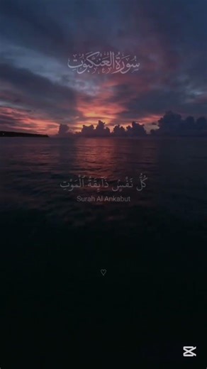 peace of the hearts Reciting Quran#viral#subscribe#peace