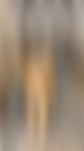 Kennel ID #: Q6 Medium-sized male chow chow Husky mix. Not neutered. Stray pickup from Niland on 12/30/25. Calm and sweet demeanor. Currently living at the Imperial County Animal Control Facility. If you are so kind to open your home and help us foster then please message us with information. If you would like to sponsor their sterilization, please donate to us via Zelle, Pay Pal (calexicoborderpaws@ oh ohm Lu ail.com) or Venmo @calexicoborderpaws. I We appreciate the love and support from our c