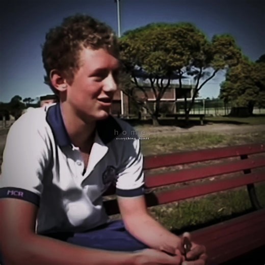 Exploring Bondi: Life, Dolphins, and Lifeguards