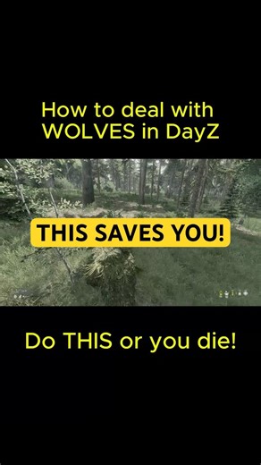 How to Survive Wolves in DayZ (New player tip)