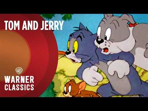 Tom and Jerry | Mega Compilation Full Episodes | Vol. 28 | Warner Classics