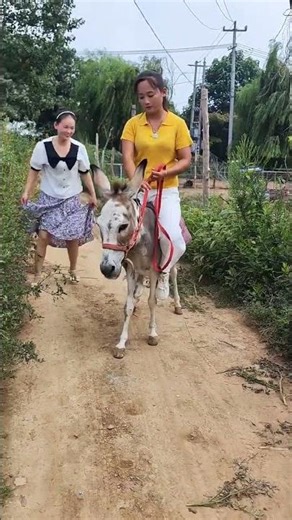 #快成长计划 #潮流生活成长之星 #喜爱度激励计划