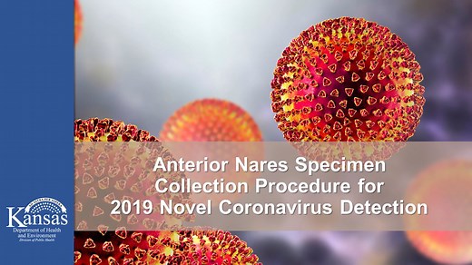 Anterior Nares Swab Collection Instructions