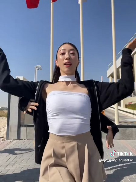 Materiales para editar en SWF