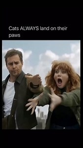 In Argylle (2024) 🎬. This moment captures the off-the-rails energy that defines Matthew Vaughn’s style, blending action, comedy and pure absurdity into one unforgettable scene. Bryce Dallas Howard’s character finds herself thrown into chaos she never expected, and Sam Rockwell’s unpredictable charm only amplifies the madness unfolding around them. The cat instantly becomes the star of the moment, adding a hilarious twist that turns high-stakes tension into something wildly entertaining. As the 