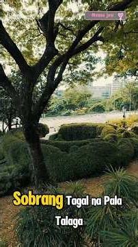 🌿 Fort Canning Park — history, nature, at peace of mind sa isang lugar fortcanning #history