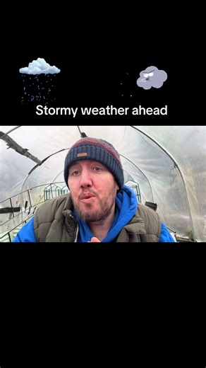 Stormy weather check 🌬️ Inspect tree ties and stakes to prevent rubbing and wind damage. #GardenMaintenance #TreeCare #WinterGardening #AllotmentLife #gardeningwithben