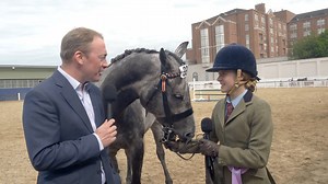 Racing ➡️ showing ➡️ sidesaddle! Multi-talented ex-racer DINGLE BAY (IRE) & Sadhbh Gannon were sixth in the ITM Racehorse To Riding Horse at Dublin Horse Show & also competed in sidesaddle. Hear the story with Bernard Condren. #DublinHorseShow | Irish Thoroughbred Marketing (ITM)