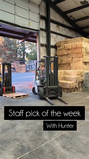 Here's your reminder that everyone deserves a sweet treat and we've got you covered! 😊 They also make great gifts and stocking stuffers. 🎁 | Burns Feed Store