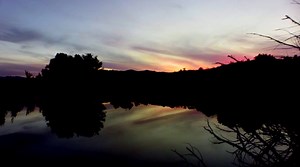 Join a ranger guided walk along the Molonglo River, discover some of Canberra’s most beautiful ‘river-scapes’ and learn about current activities to protect it bit.ly/2HTxPhf | ACT Parks and Conservation Service