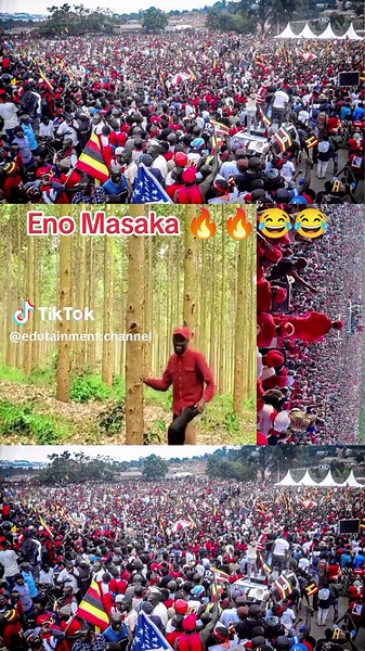 #nup #foryou #goviral