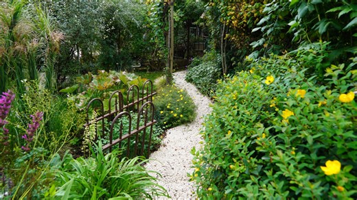 Natur im Garten vom 19.10.2025