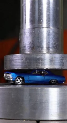 Color Powder Bloom#cat OddlySatisfying #HydraulicPress #ColorBurst