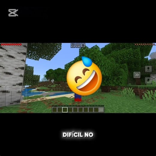 voy a acer una serie de minecraft speed run mañana 1er capitulo
