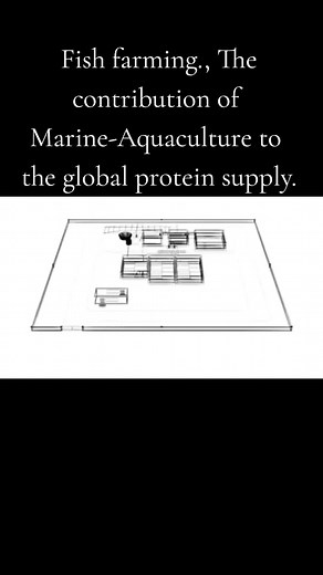 Fish Farming: The Future of Marine Aquaculture
