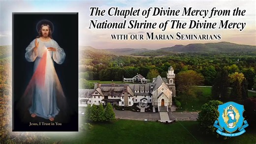 6.2K views · 2.3K reactions | Sun, Mar 20 - Chaplet of Divine Mercy from the National Shrine - Remember to “FOLLOW” our Facebook channel and visit our home website for daily articles: TheDivineMercy.org | Divine Mercy (official) | Facebook