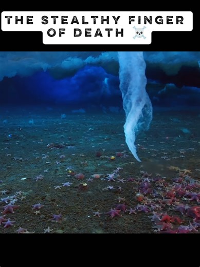 Stealthy Finger of Death in the Deep Sea