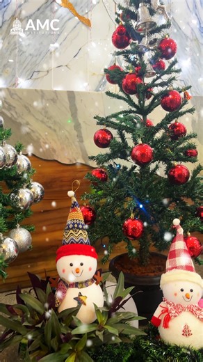 AMC Institutions on Instagram: "Merry Christmas 🎄 🎁 Cozy nights and twinkling lights, wrapped in love and holiday cheer. May this festive season bring you peace, warmth, and the joy of sharing precious moments with family and friends. Wishing you a holiday filled with love, laughter, and a touch of magic. 🎄✨ May the new year bring abundant blessings and happiness into your life! Merry Christmas 🎄🎄✨🎊 Video credits: @sampathkumarts7 @_the_soldier_ravana_ #amcinstitutions #MerryChristmas #Sea